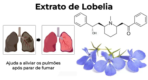 Anti tabagismo-Bastão inalador QuitTobacco™